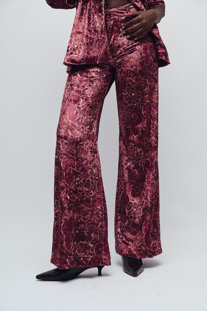 ABBEY HOSEN ORACLES MERLOT